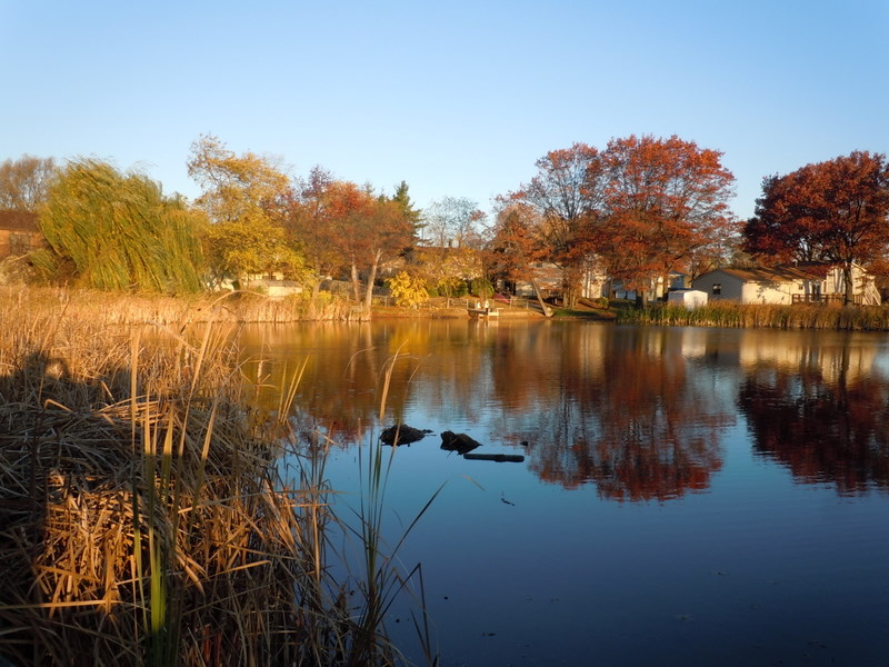 BUCKHORN LAKE ORION TOWNSHIP MICH